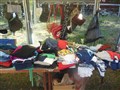 DSCN5491.JPG