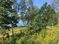 IMG_9483.JPG